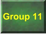 Group 13