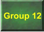 Group 12