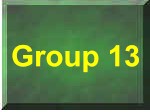 Group 13