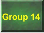 Group 14