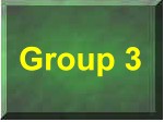 Group 3