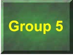 Group 5