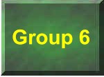 Group 6