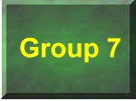 Group 7